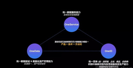 阿里數(shù)據(jù)科學(xué)家一次講透數(shù)據(jù)中臺(tái)與大數(shù)據(jù)服務(wù)